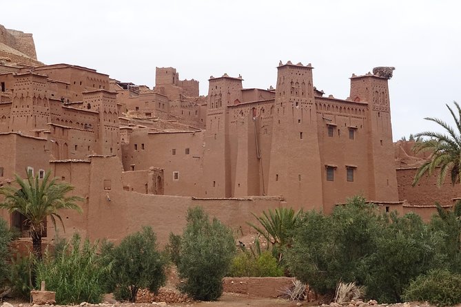 From Marrakech: Private Tour to Oasis and Trekking in the Desert of Erg Chigaga - Comfort, pace, and who should book