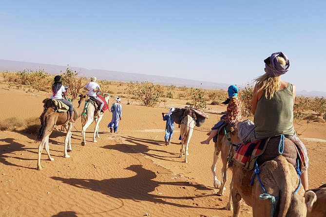 From Marrakech: Private Tour to Oasis and Trekking in the Desert of Erg Chigaga - Should you book the Erg Chigaga trip?