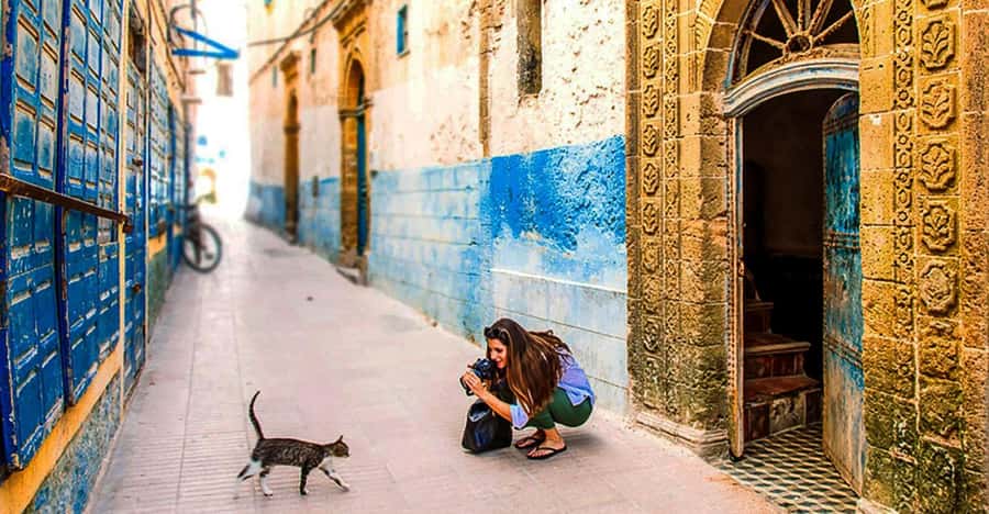 From Marrakech: Small Group To Essaouira & Medina Day Trip - Key points at a glance