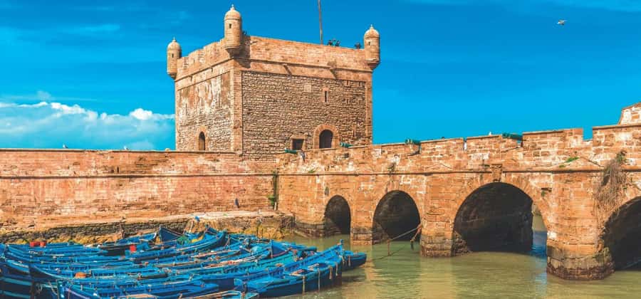 From Marrakech: Small Group To Essaouira & Medina Day Trip - Who will enjoy this Essaouira day trip?