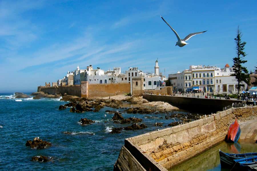 From Marrakech: Small Group To Essaouira & Medina Day Trip - Skala du Port and the harbor’s working side