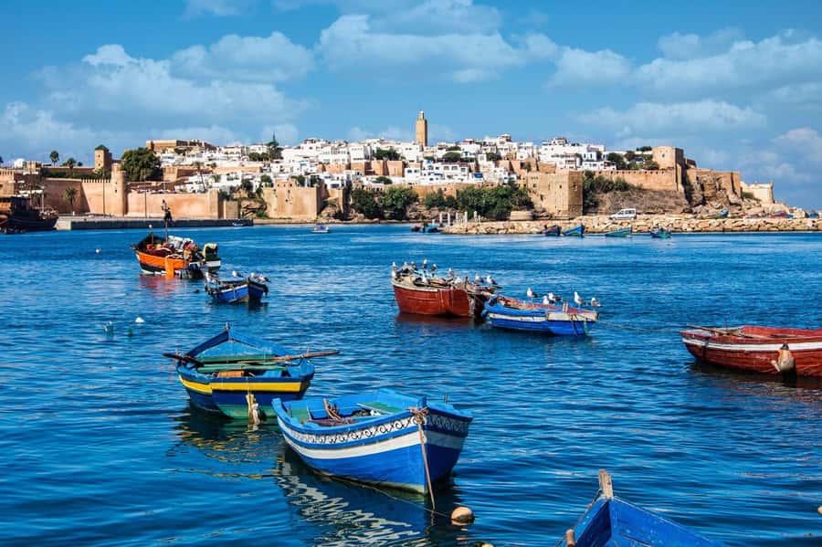 From Marrakech: Small Group To Essaouira & Medina Day Trip - The argan oil cooperative and Morocco’s liquid gold