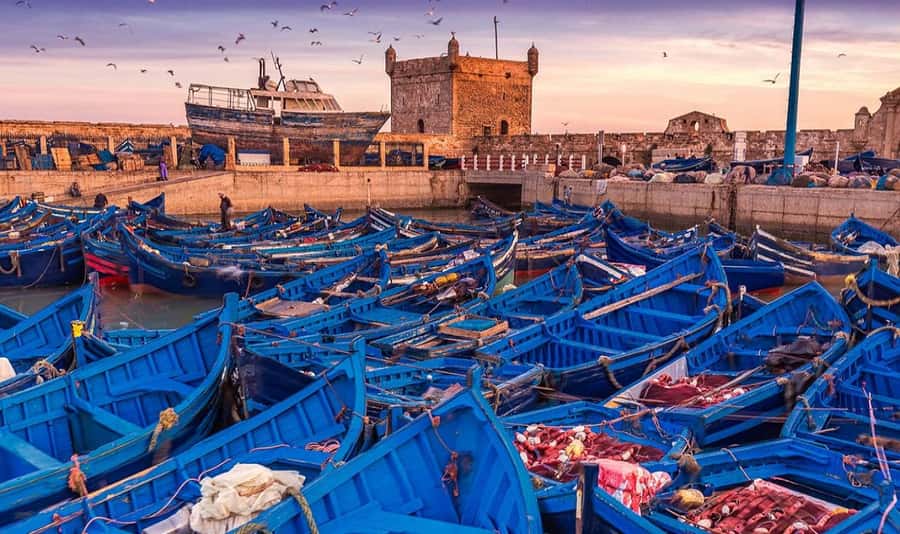 From Marrakech: Small Group to Essaouira & Sekkala Day Trip - Key points at a glance