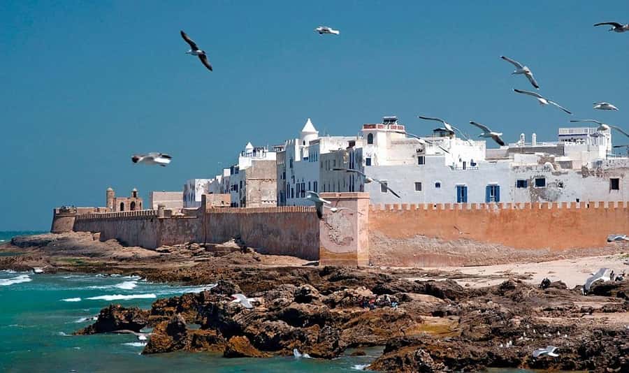 From Marrakech: Small Group to Essaouira & Sekkala Day Trip - Five hours to explore Essaouira at your own pace