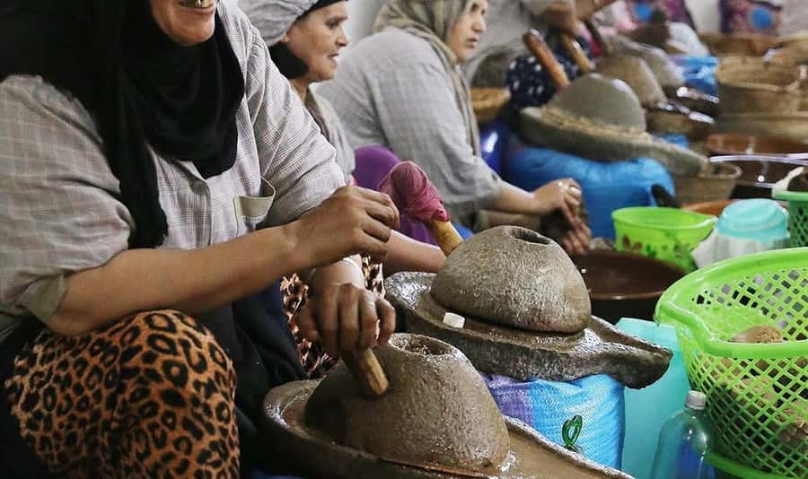 From Marrakech: Small Group to Essaouira & Sekkala Day Trip - Is $15 per person good value?