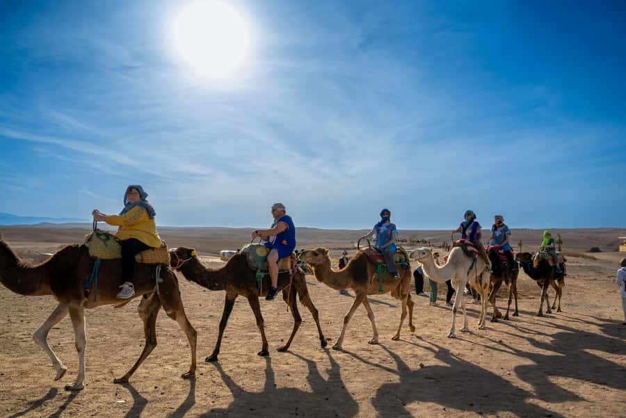 From Marrakech: Sunset Desert Tour with Camel Ride & Dinner - Who will enjoy this seven-hour outing?