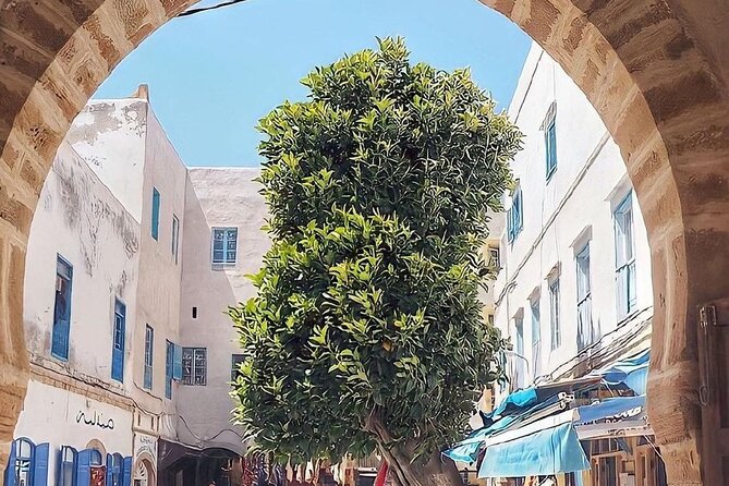 From Marrakech To Essaouira Mogador Full Day Trip | Small-group - A self-guided walk through the medina and port