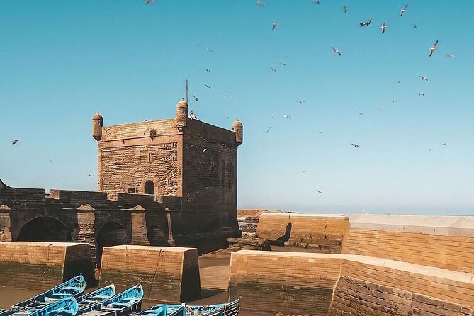 From Marrakech To Essaouira Mogador Full Day Trip | Small-group - Lunch, seafood, and the cost of freedom