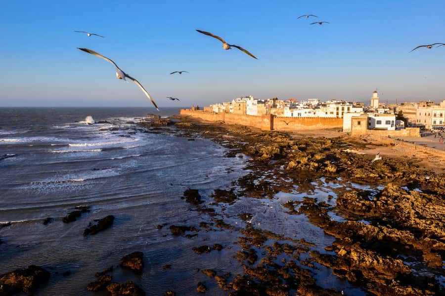 From Marrakech To Essaouira Mogador Full Day Trip Smallgroup - Key points to know before booking