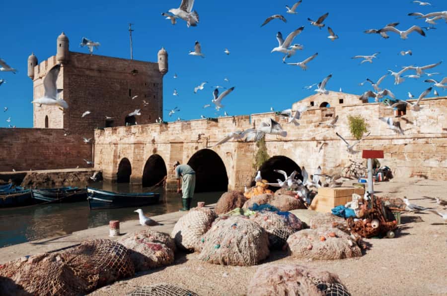 From Marrakech To Essaouira Mogador Full Day Trip Smallgroup - Who will enjoy this trip most