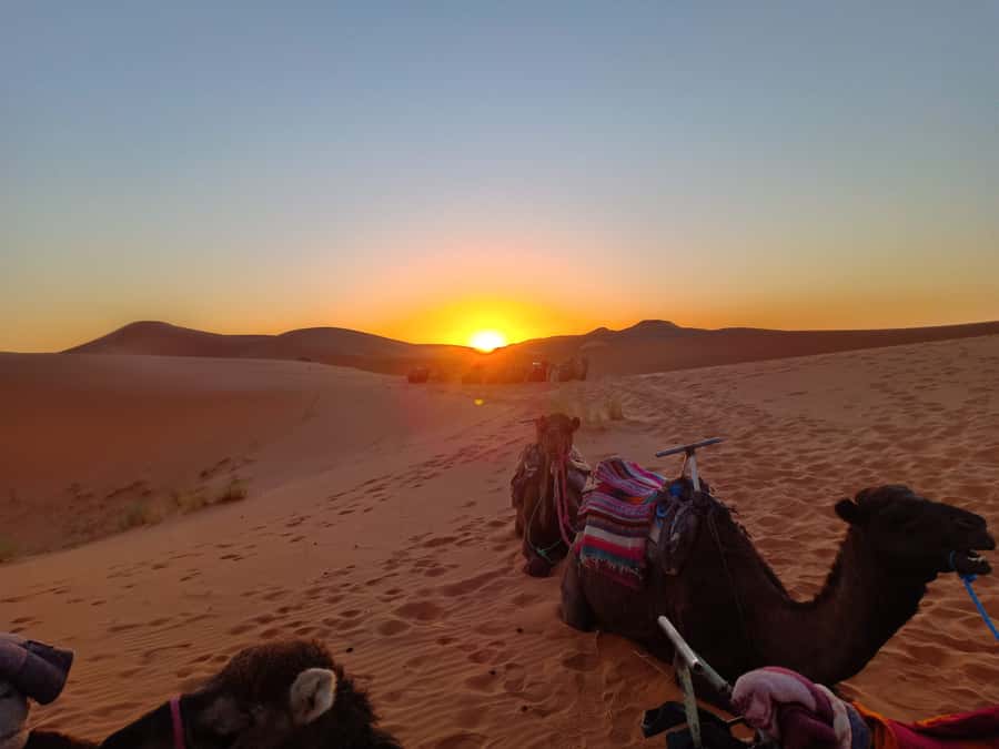 From Marrakech to Fes 3-Day Luxrury Tour via Sahara Desert - Standard tents, luxury tents, and the night sky