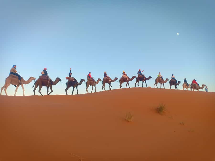From Marrakech to Fes 3-Day Luxrury Tour via Sahara Desert - Transport, group size, and comfort