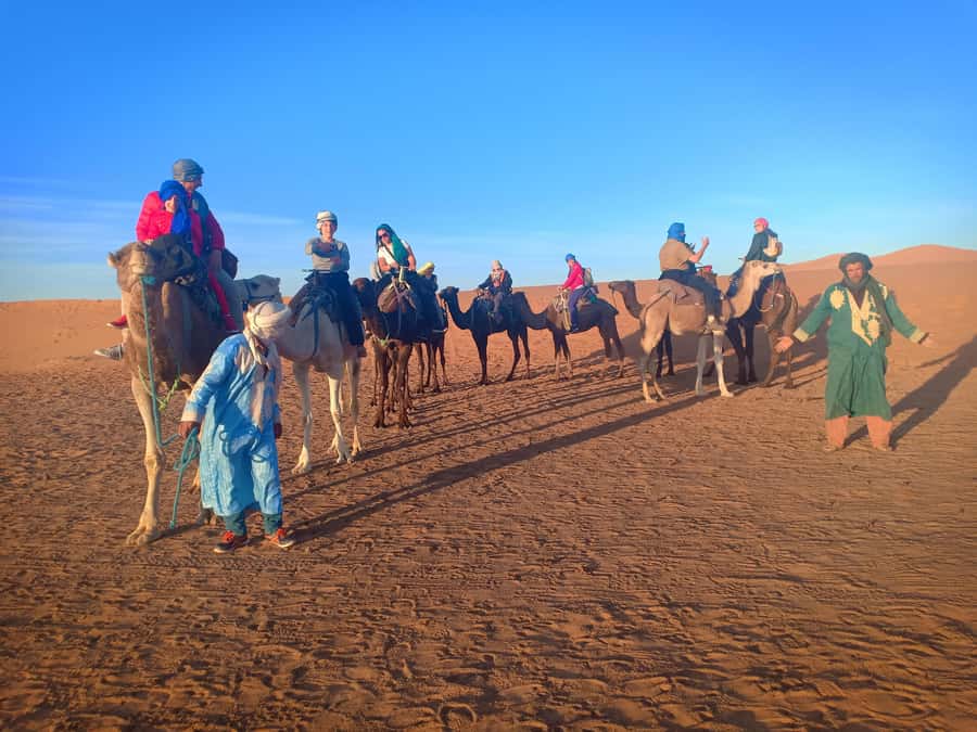 From Marrakech to Merzouga Erg Chebbi: 4-Day Desert Tour - Todra Gorge and the palm oasis near Tinghir