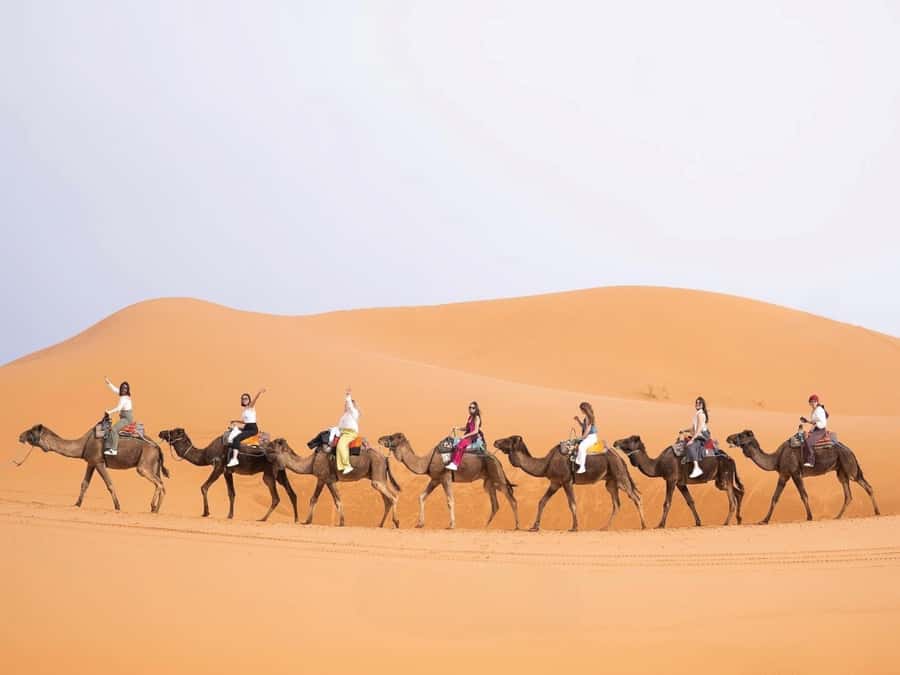 From Marrakech: Unforgettable 3-Day Desert Tour to Fes - Ait Benhaddou and the Valley of the Roses