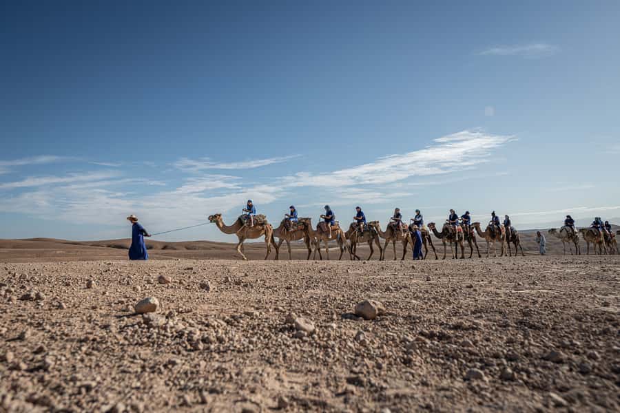 From Marrakech: VIP Agafay Desert & Oasis Camel Experience - Agafay gives you desert views close to Marrakech