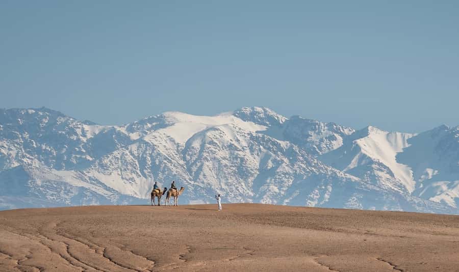 From Marrakech: VIP Agafay Desert & Oasis Camel Experience - Starting at an oasis, not beside a roadside