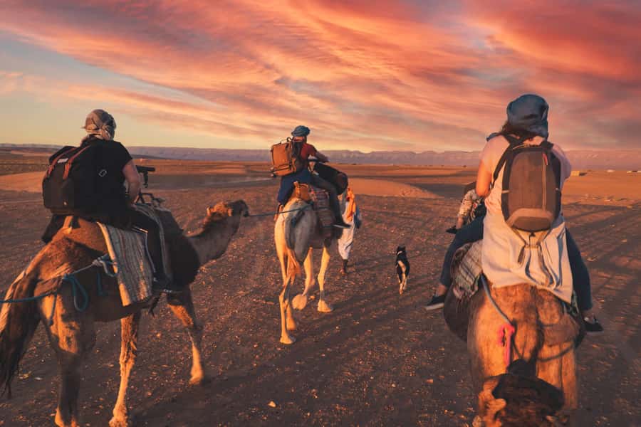 From Marrakech: Zagora 2-Day Desert Safari with Food & Camp - What $113 buys you on the road to Zagora