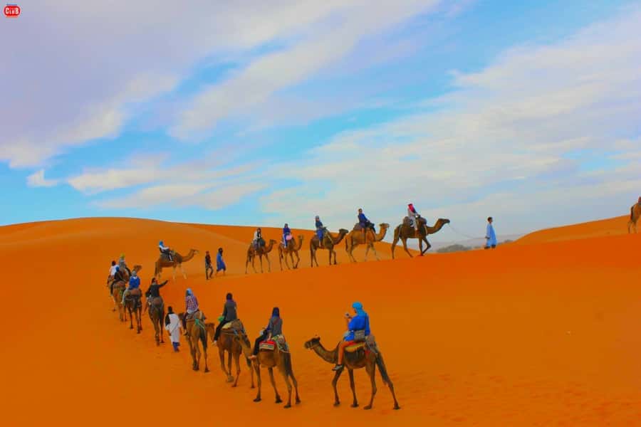 From Marrakesh: 2-Day Desert Zagoura Tour - Key points to know before booking