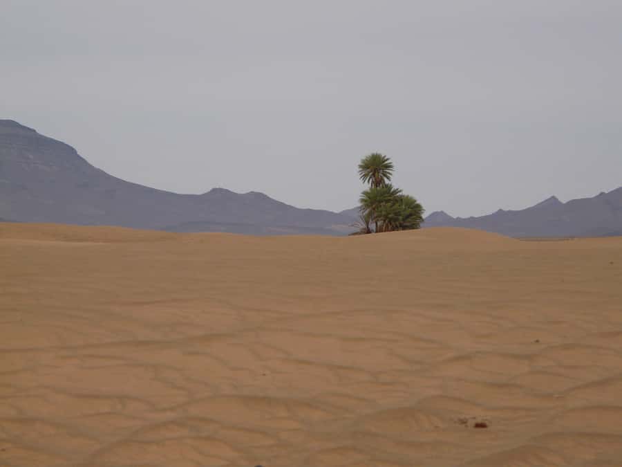 From Marrakesh: 2-Day Desert Zagoura Tour - Who should book this Zagora tour?