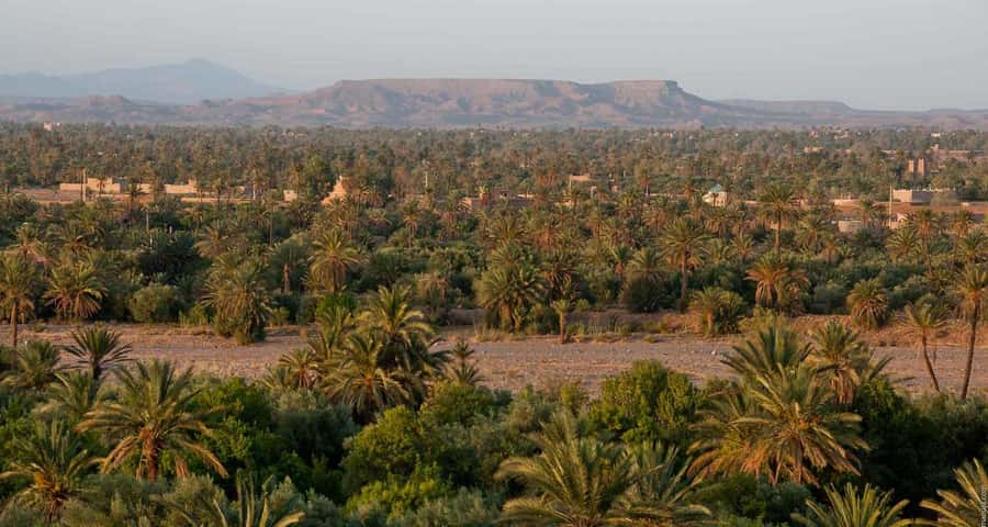 From Marrakesh: 4-Day Private Atlas Mountains & Desert Tour - Day 3: Sunrise, Rissani, and the road back west