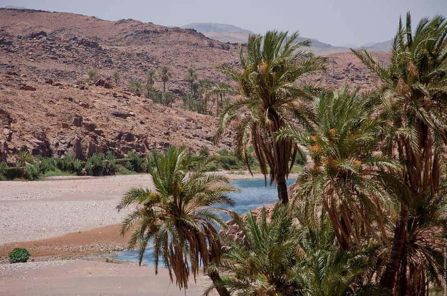 From Marrakesh: 4-Day Private Atlas Mountains & Desert Tour - Food, hotels, and the practical trade-offs