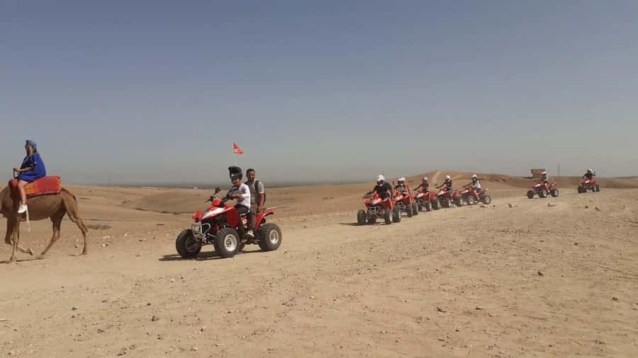 From Marrakesh: Agafay Desert Quad Biking, Camels & Dinner - Sunset at the Berber Camp