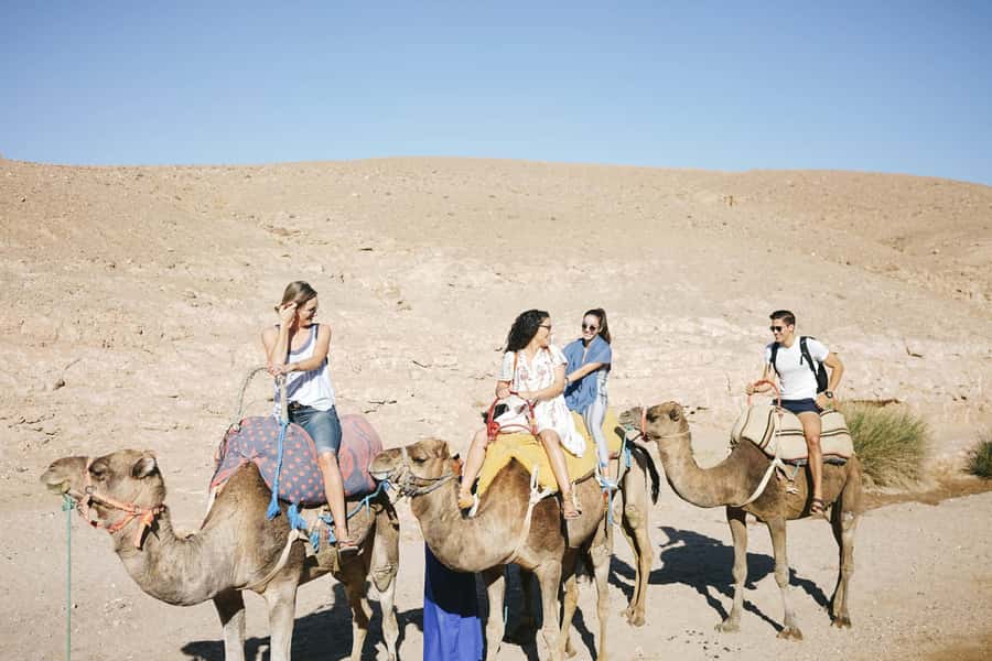From Marrakesh: Agafay Desert Quad Biking, Camels & Dinner - Who Will Enjoy This Agafay Outing Most