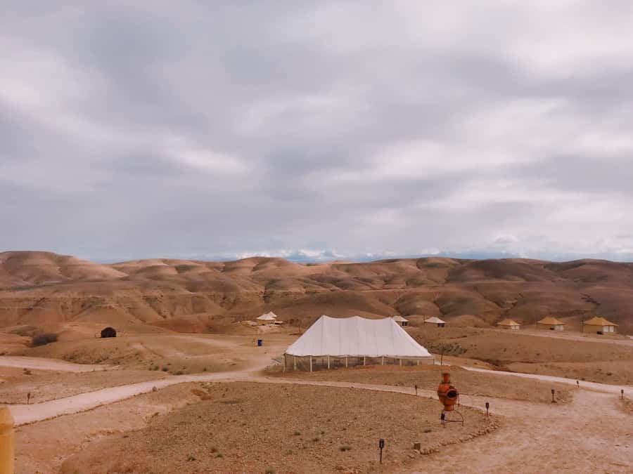 From Marrakesh: Agafay Desert Quad Biking, Camels & Dinner - Should You Book This Tour?