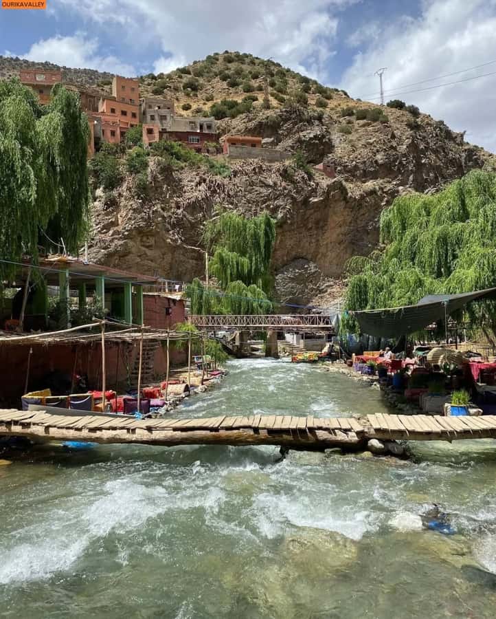 From Marrakesh: Day Tour to Ourika Valley & Atlas Mountains - What the argan oil cooperative adds
