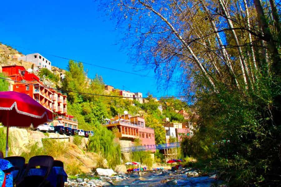 From Marrakesh: Day Tour to Ourika Valley & Atlas Mountains - The guide, driver, and group experience