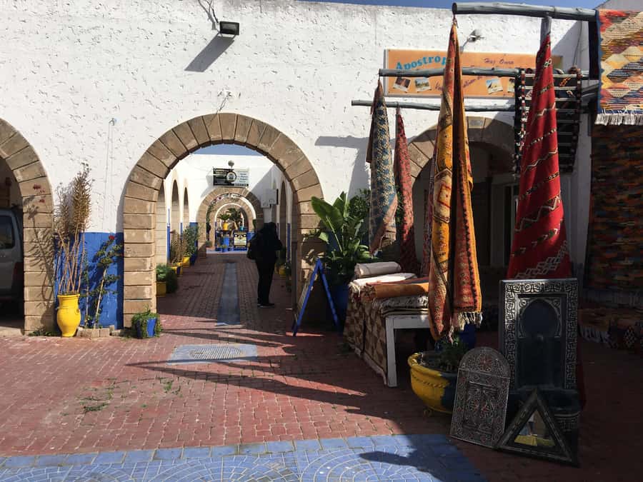 From Marrakesh: Essaouira Day Trip - Key points before you book