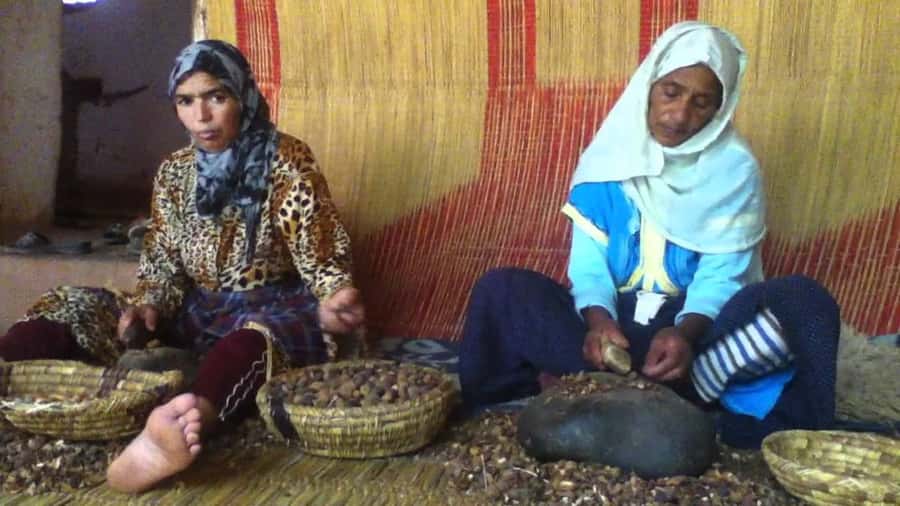 From Marrakesh: Essaouira Day Trip - Seafood, beach time, and choosing your own pace