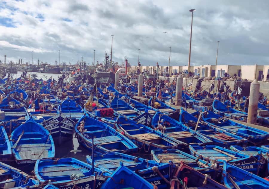 From Marrakesh: Essaouira Full-Day Trip - Key points at a glance