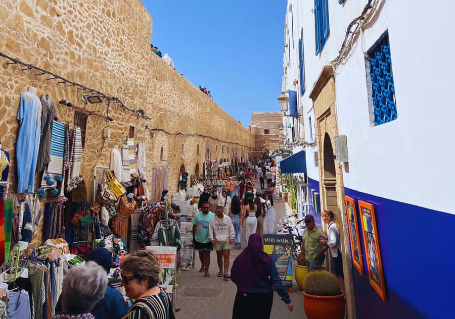 From Marrakesh: Essaouira Full-Day Trip - Who should book this Essaouira day trip?