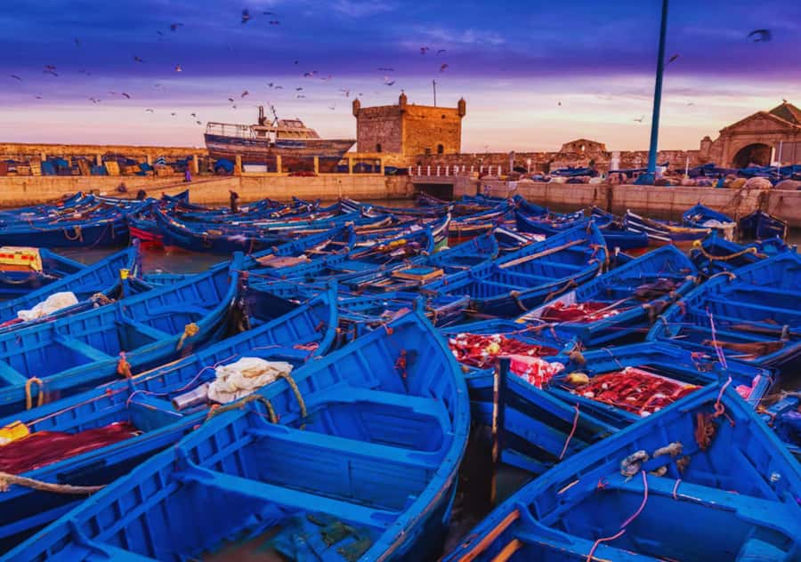 From Marrakesh: Essaouira Full-Day Trip - Why Essaouira makes a good break from Marrakesh