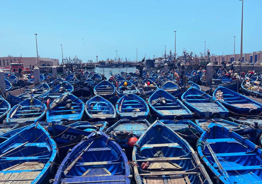 From Marrakesh: Essaouira Full-Day Trip - First look at Essaouira’s old port