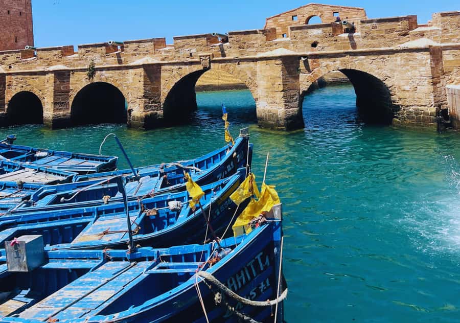 From Marrakesh: Essaouira Full-Day Trip - Transport, staff, and what the $20 covers