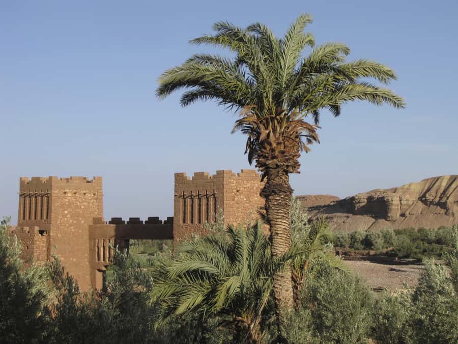 From Marrakesh: Ouarzazate & Ait Ben Haddou Day Tour - Crossing the Tizi N’Tichka pass at 7,415 feet