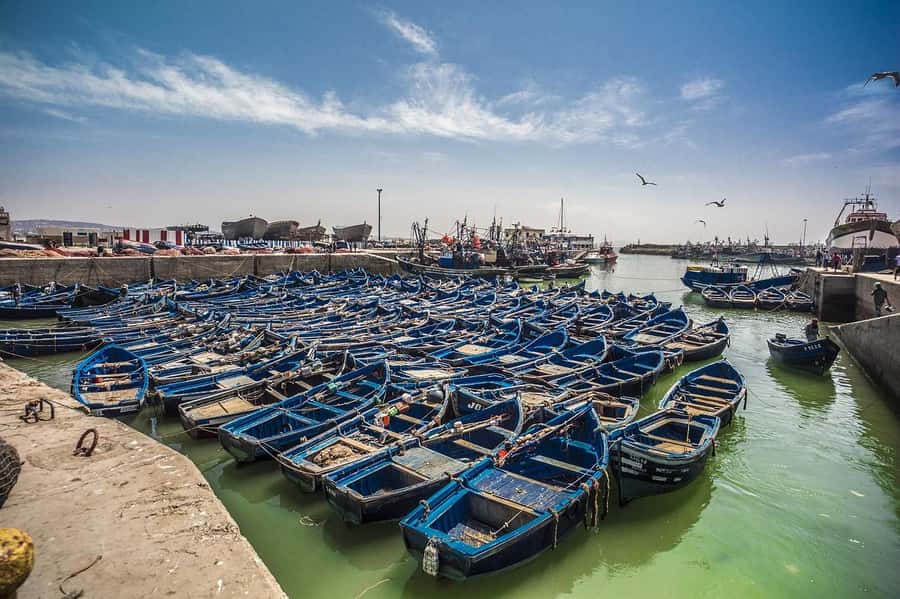 From Marrakesh: Small Group To Essaouira With Opt Activities - Key points to know before you book