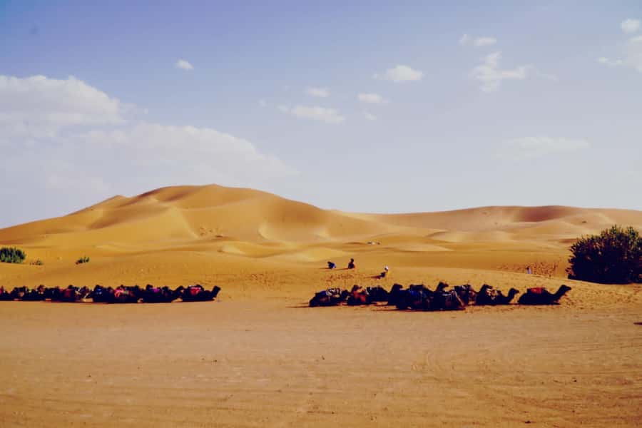 From Merzouga: Desert Overnight in Heated Tent & Camel Ride - Camelback into the golden Erg Chebbi dunes