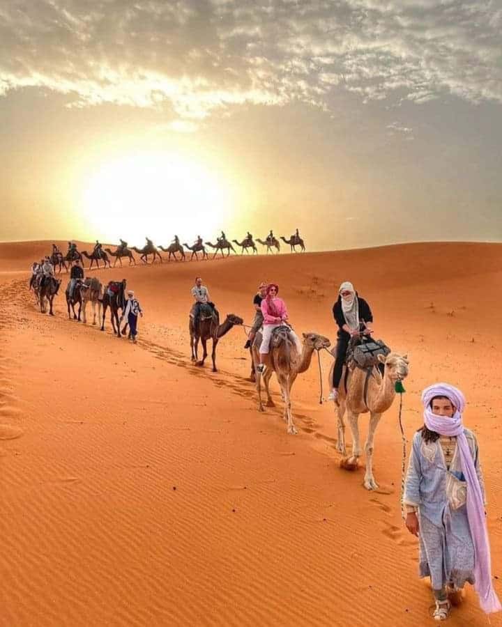 From Merzouga: Overnight Camel Trek over Erg Chebbi Dunes - The camel ride across Erg Chebbi