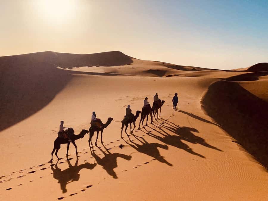 From Merzouga: Overnight Camel Trek over Erg Chebbi Dunes - Drums, dancing, and a sky full of stars