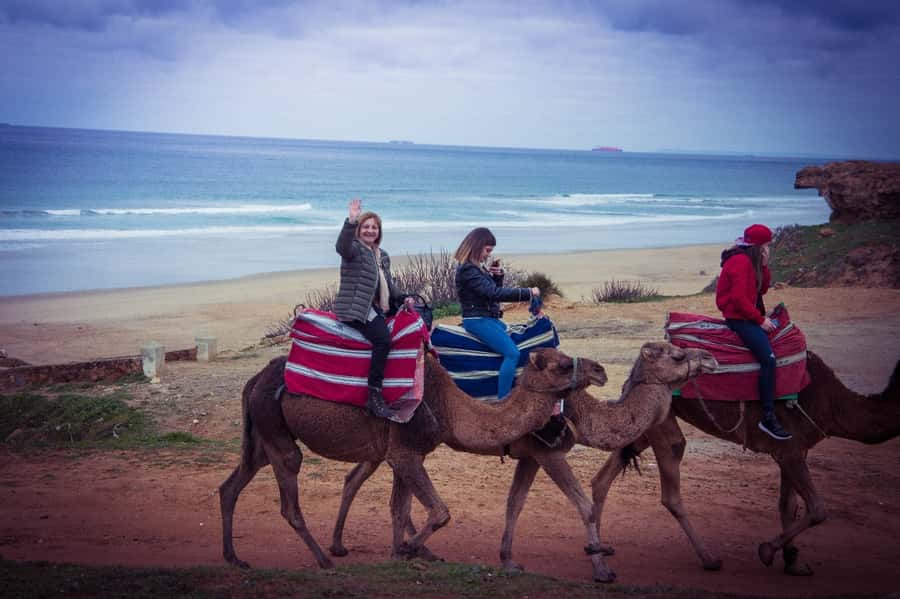 From Seville: Tangier Day Trip with Local Guide and Lunch - Crossing the Strait of Gibraltar by fast ferry