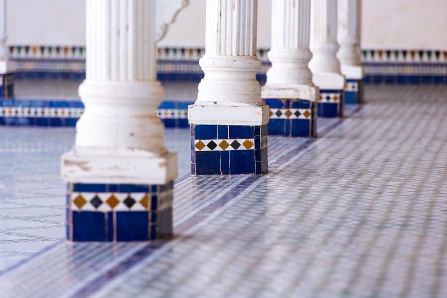 From Taghazout or Agadir: Marrakech Guided Day Trip - Who should book this Marrakech day trip?