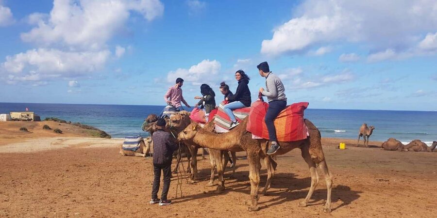 From Tangier: Cap Spartel and Hercules Cave with Camel Ride - Who should book this experience
