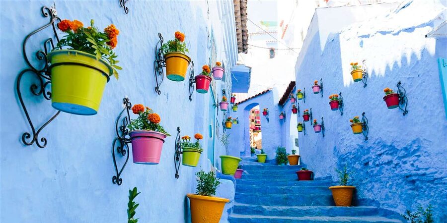 From Tangier: Chefchaouen Day Trip with Local Guide - Who should book this Chefchaouen trip