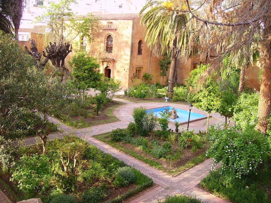 From Tangier: Chefchaouen Guided Full-Day Trip - The Spanish Mosque and the best wide view