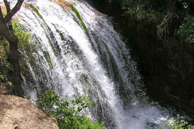 From Tangier: Day Trip to Chefchaouen and Akchour Waterfalls - Guides, languages, and group style