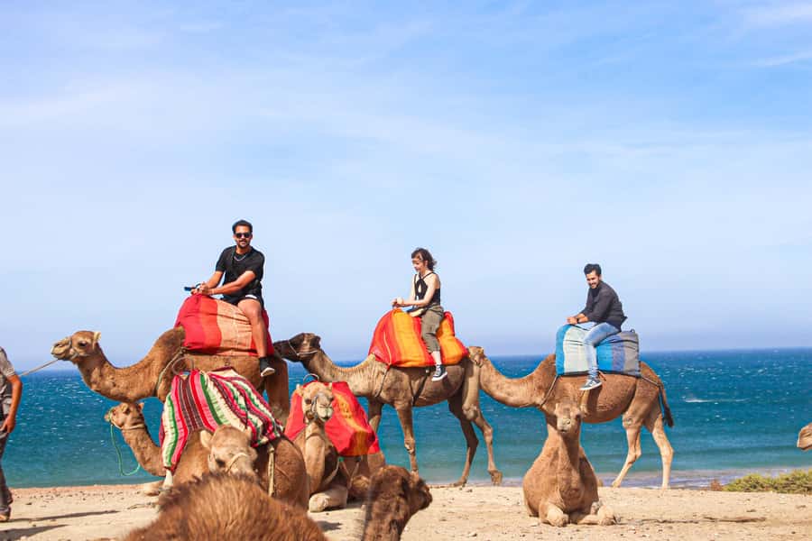From Tangier: Full-Day Tangier, Asilah, & Cape Spartel Tour - The camel ride by the beach