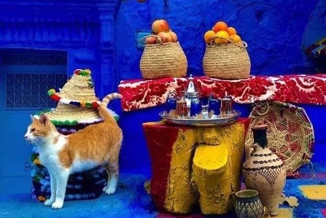 From Tangier: Special Day Trip to Chefchaouen and Tetouan - Tetouan, the less polished and more revealing stop